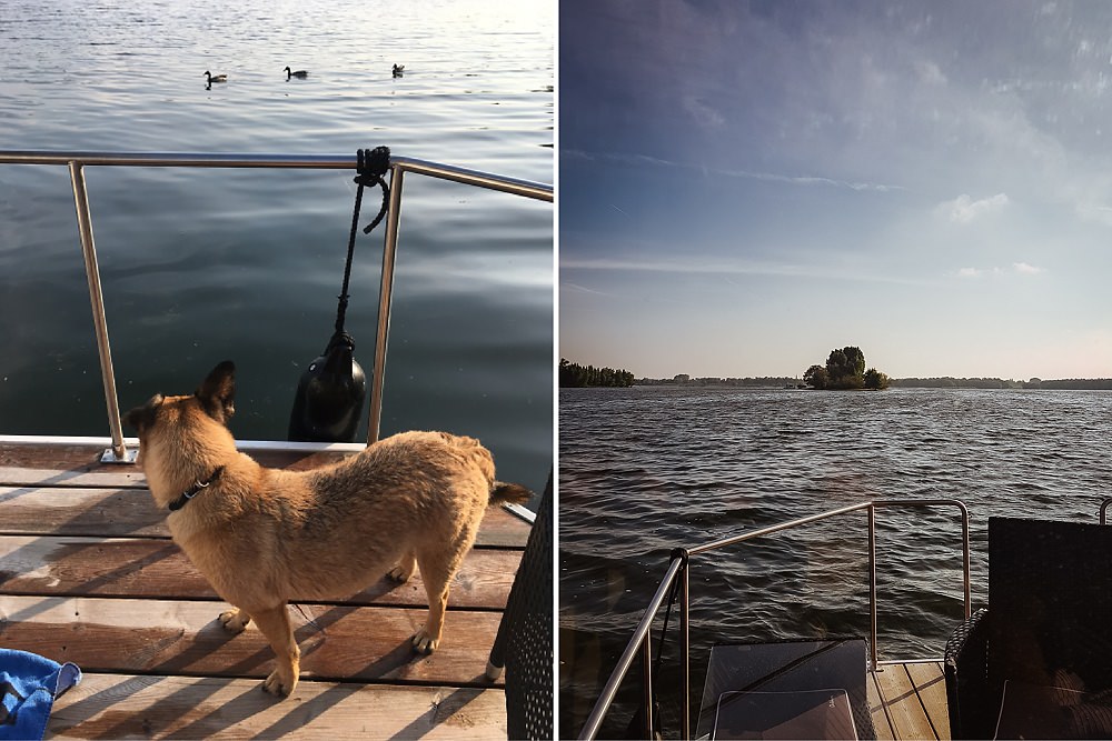 Hausboot Hund Urlaub Holland 006