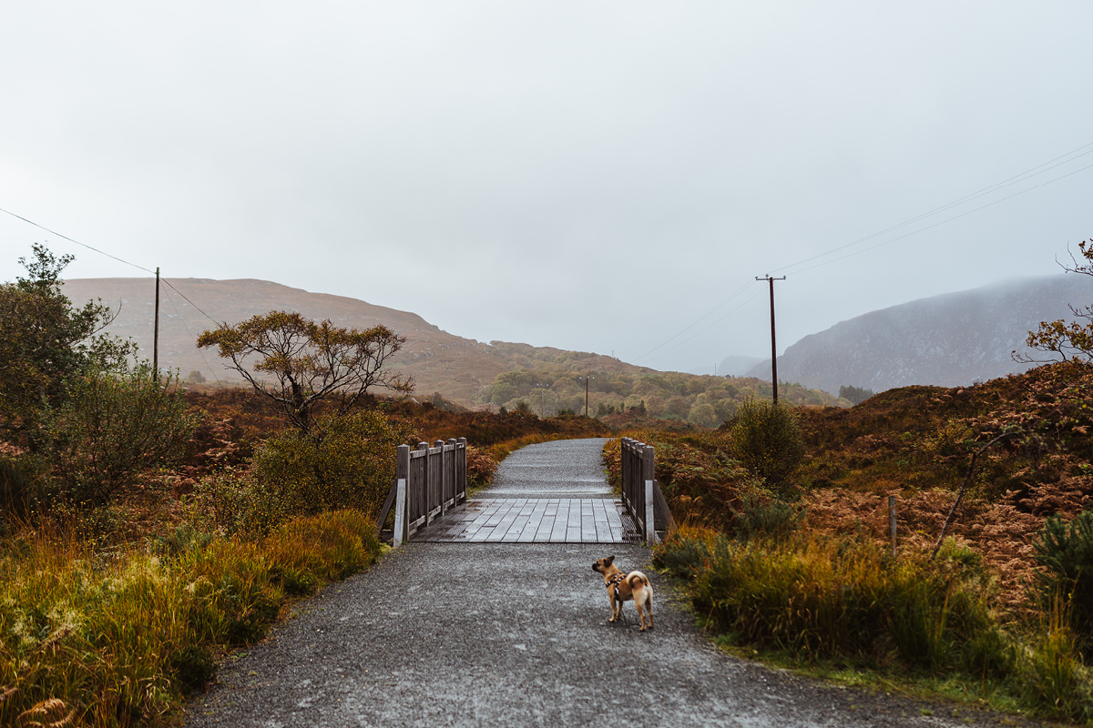 Ausflug mit Hund Irland Donegal Glenveagh Castle