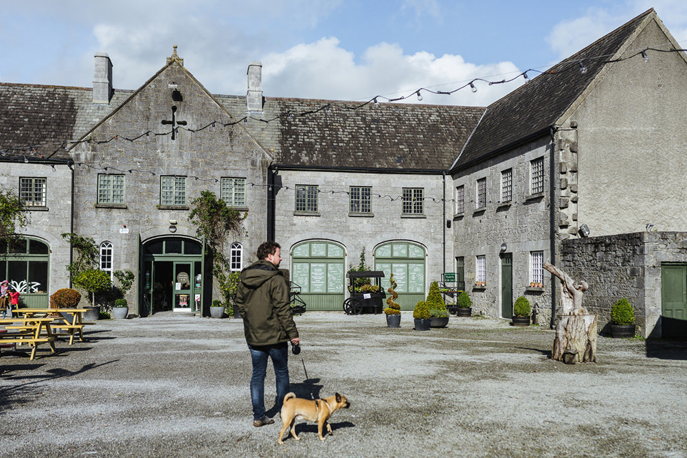 Ausflug mit Hund Irland Offaly Birr Castle 