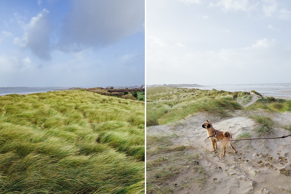 Frankreich Normandie mit Hund Winter 008