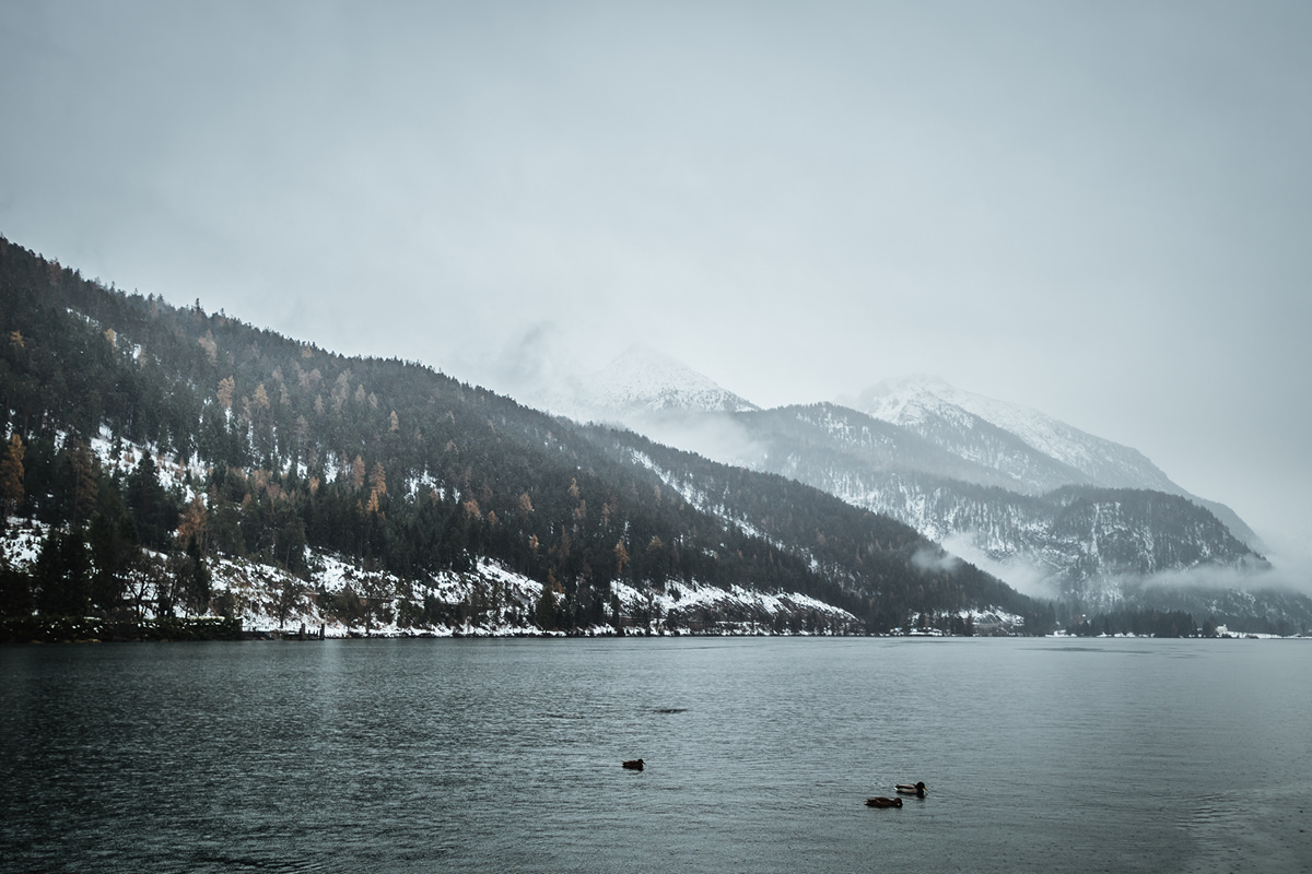 Ausflugsziel Achensee Hund 0000