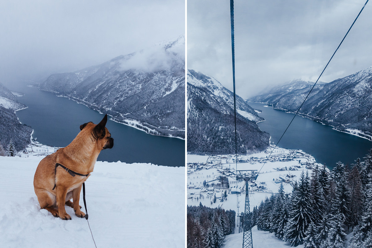 Ausflugsziel Achensee Hund 0017