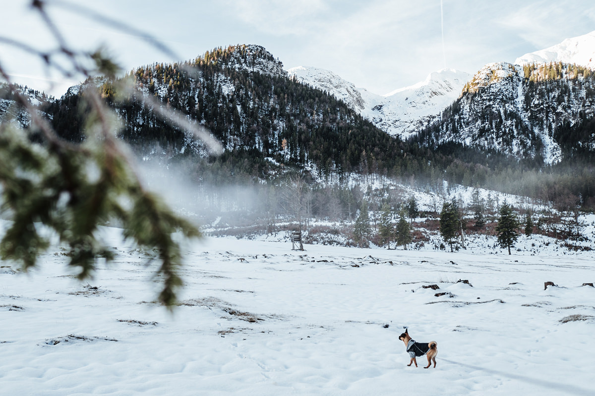 Offsite-Trip Tirol: Business-Auszeit mit Hund