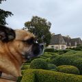 Mit Hund im Les Jardin de Marqueyssac