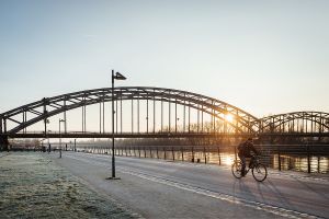 MIT HUND AM MAINUFER - GASSI GEHEN IN FRANKFURT