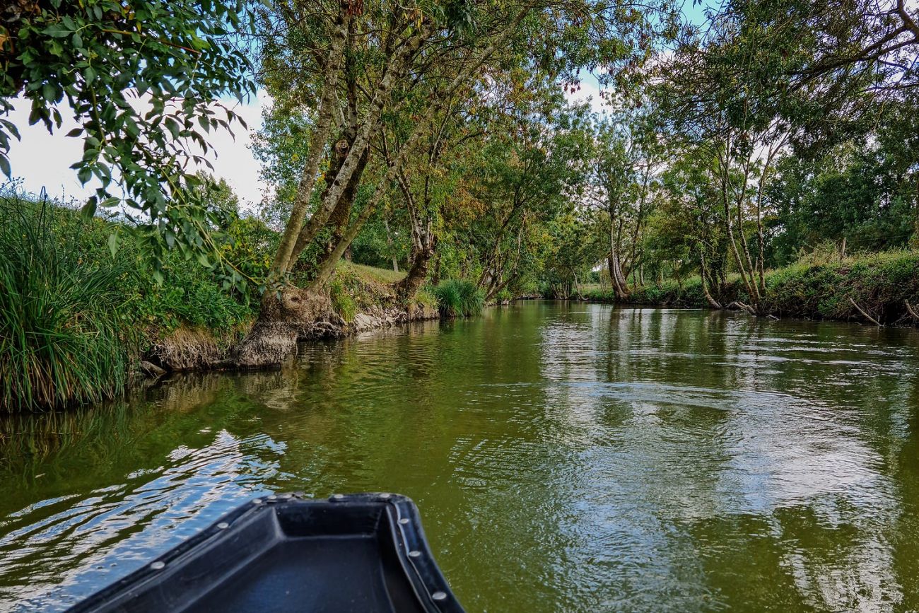 Naturpark Marais Poitevin: Ein perfekter Ausflug mit deinem Hund