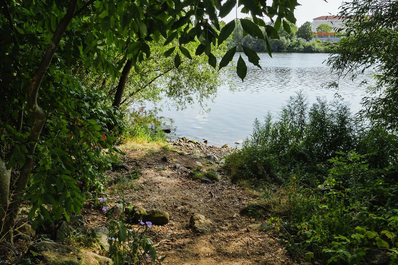 Ausflugsziel mit Hund - Hundestrand Flörsheim