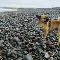 Mentales Training und Auslastung am Steinstrand