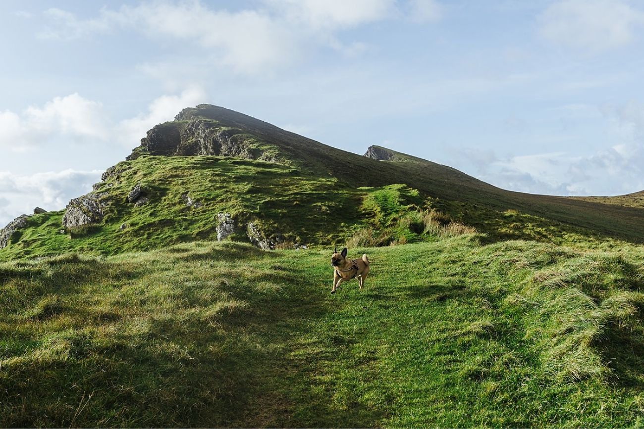 Mit Hund am Keem Bay Achill Island