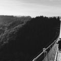 Höhenabenteuer im Hunsrück - Geierlaybrücke mit Hund