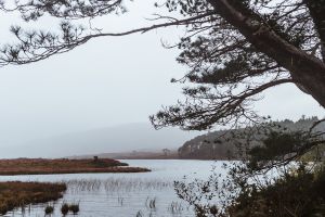 Glenveagh Castle and Gardens - Natur pur mit Hund