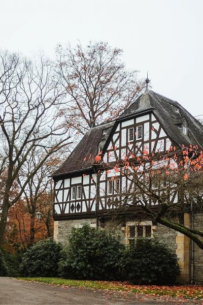 MIT HUND AM SCHLOSSHOTEL GOLFPLATZ - GASSI GEHEN IN KRONBERG