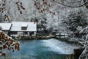 Ausflugsziel Blautopf - mit Hund in Blaubeuren