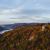 Mikroabenteuer im Rheingau - Mit Hund an der Burgruine Rossel