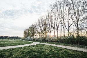 MIT HUND AM ARBORETUM - GASSI GEHEN IN ESCHBORN