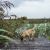 Mit Hund in Irland - Discovery Park Lough Boora