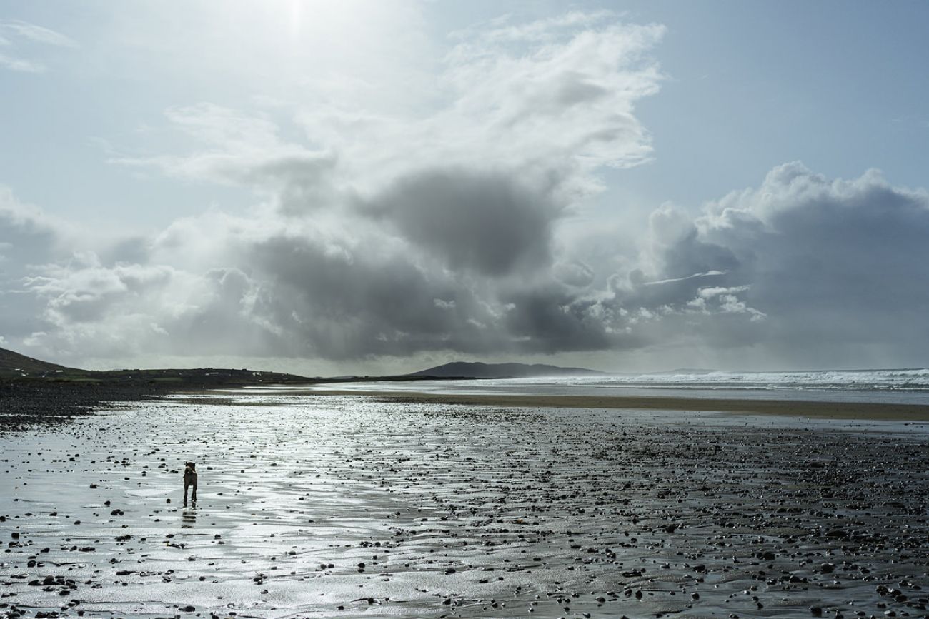 Mit dem Hund am Steinstrand in Irland - Carrowinskey Beach in Mayo