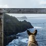 Gute Argumente für Deine Reise nach Irland