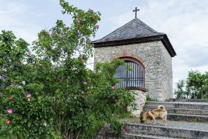 MIT HUND AM EISENBAUM - GASSI GEHEN IN FLÖRSHEIM