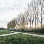 MIT HUND AM ARBORETUM - GASSI GEHEN IN ESCHBORN