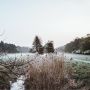 MIT HUND AM GUNDWIESENSEE - GASSI GEHEN IN WALLDORF
