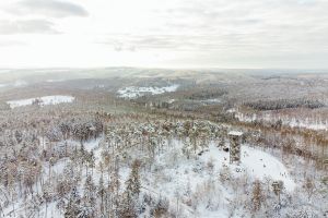 Winterwandern im Taunus - Mit Hund auf dem Hausbergturm