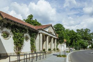 MIT HUND IM KURPARK - GASSI GEHEN IN BAD NAUHEIM
