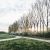 MIT HUND AM ARBORETUM - GASSI GEHEN IN ESCHBORN