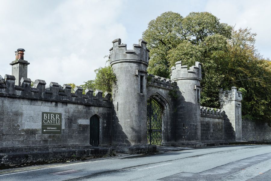Birr Castle mit Hund, Offaly Irland