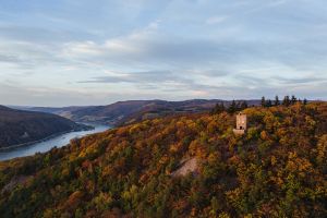 Mikroabenteuer im Rheingau - Mit Hund an der Burgruine Rossel