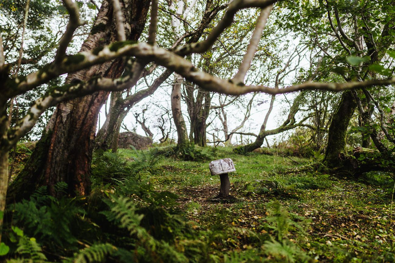 Rundweg am Gleniff Horseshoe - Mit Hund in Sligo, Irland