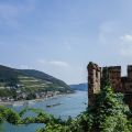 Mit Hund im Rheingau - Romantik auf Burg Rheinstein