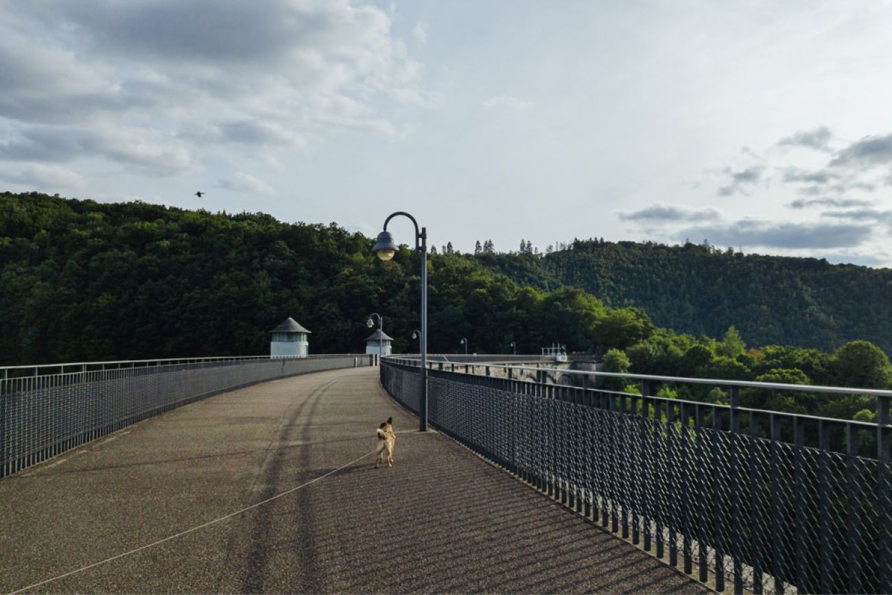 Urftalsperre mit Hund - Urlaub in Deutschland