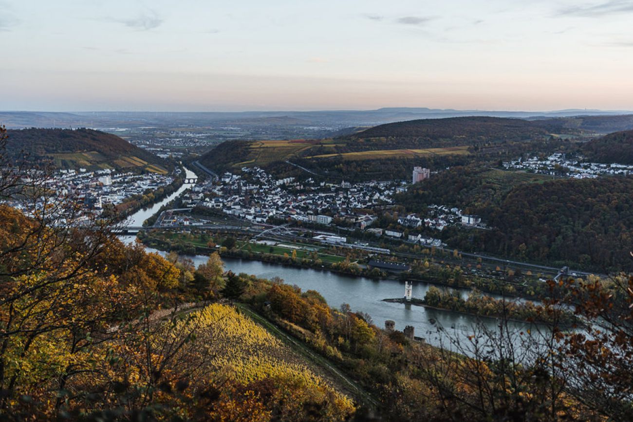 Ausflugsziel mit Hund: Burgruine Rossel im Rheingau
