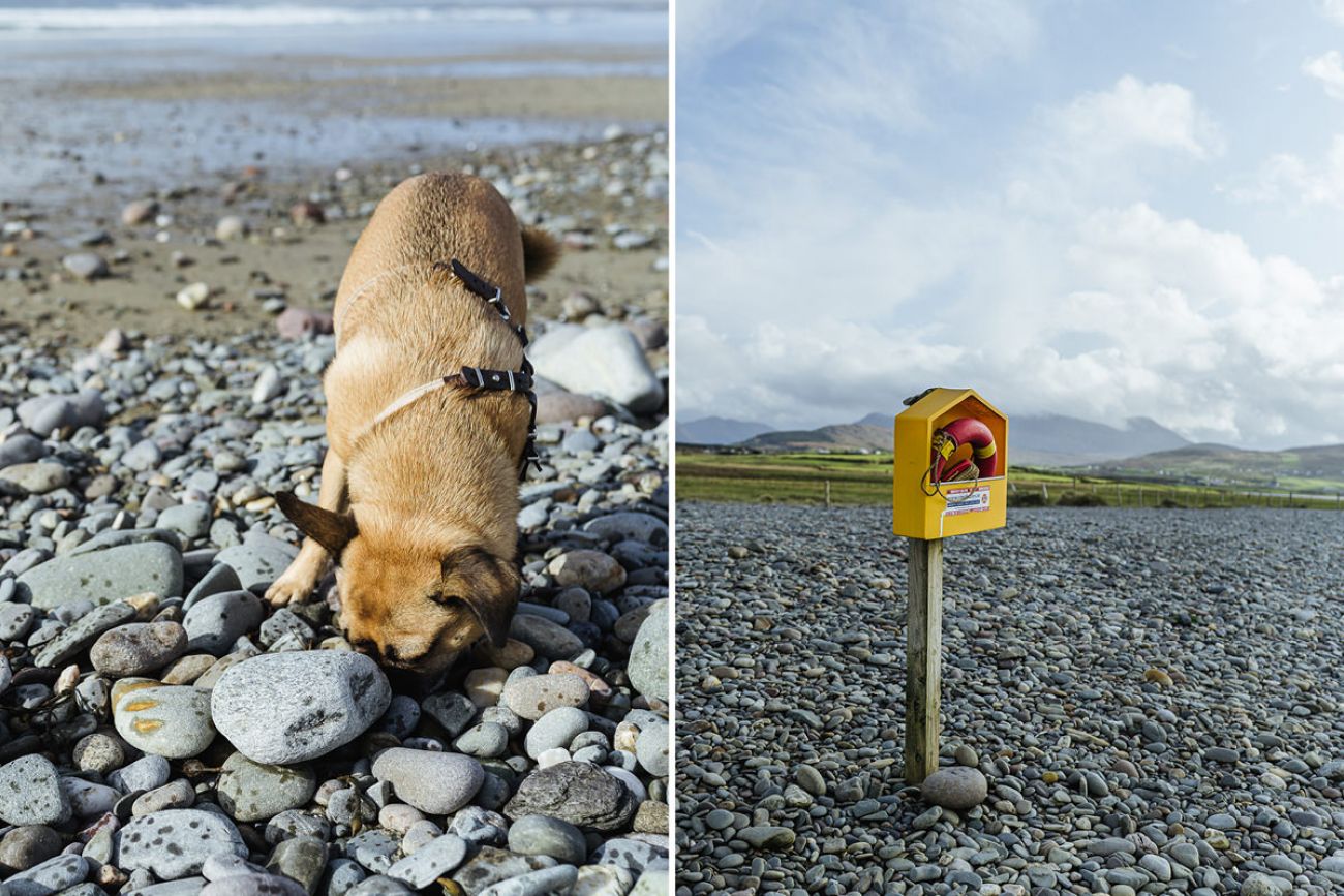 Mit dem Hund am Steinstrand in Irland - Carrowinskey Beach in Mayo
