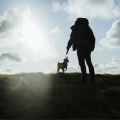 Gassi-Hike am Keem Bay in Achill Island