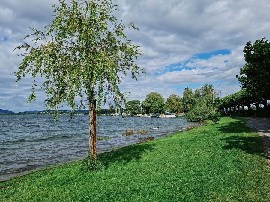 Ausflugsziel mit Hund - Seepromenade in Radolfzell