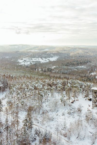 Winterwandern im Taunus - Mit Hund auf dem Hausbergturm