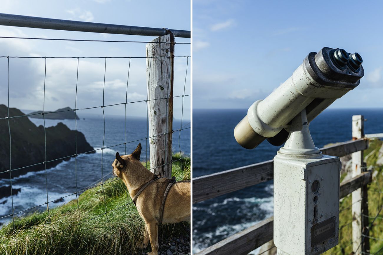Mit dem Hund an den Kerry Cliffs in Irland