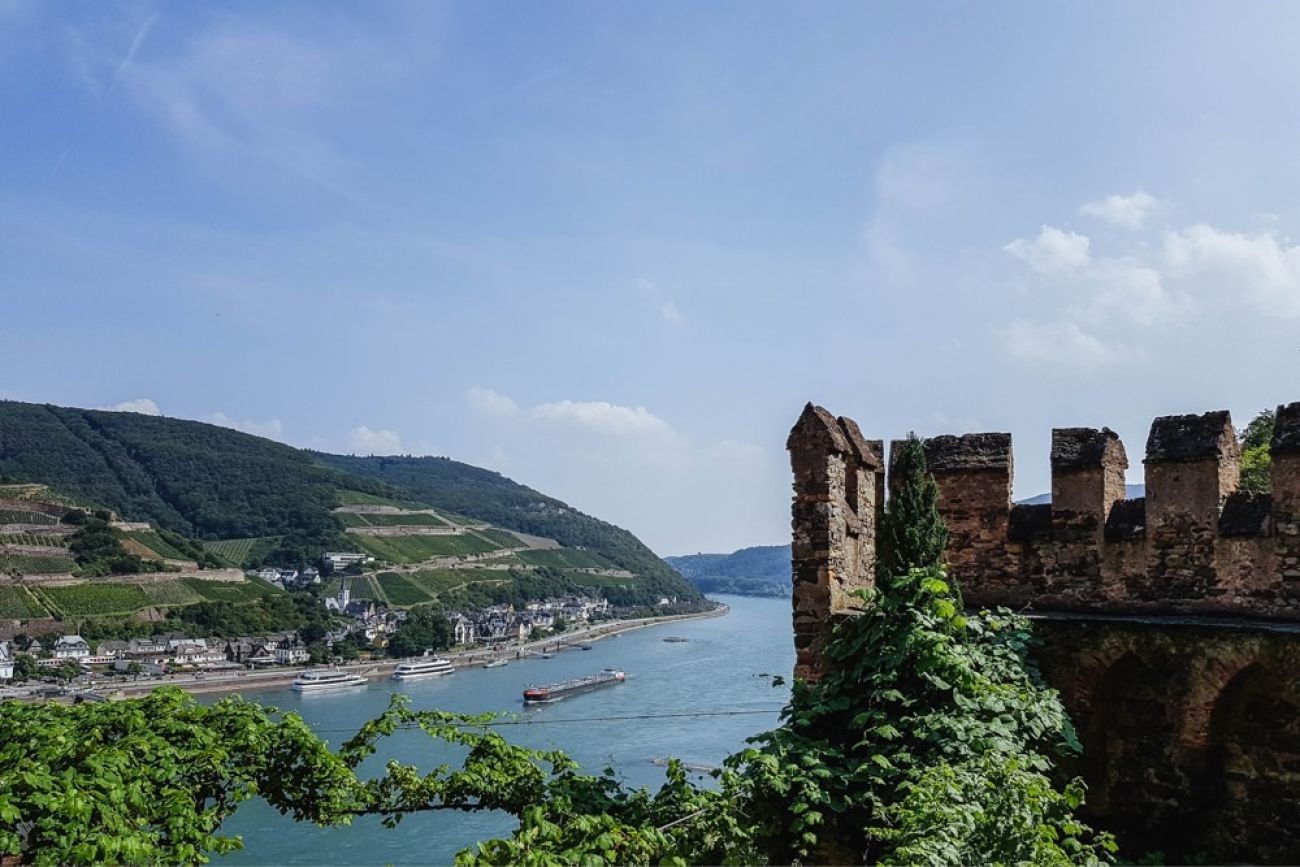 Mit dem Hund am Rhein - Burg Rheinstein