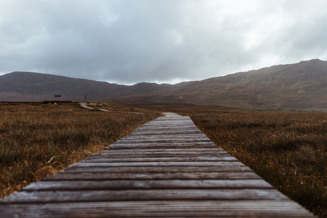 Mit Hund im Ballycroy Nationalpark in Mayo, Irland