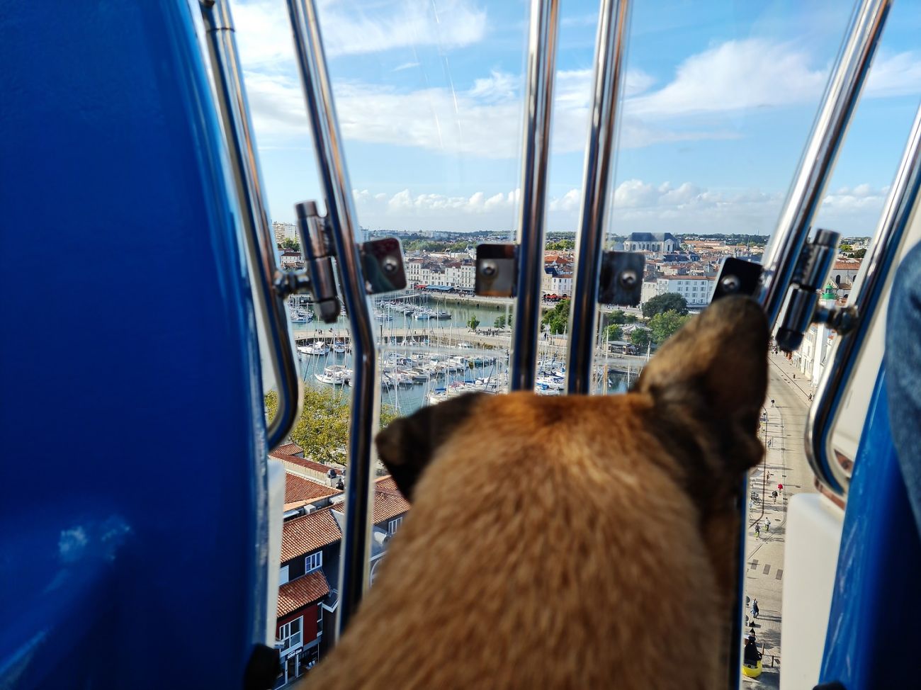 Mit Hund in La Rochelle - Ein Tagesausflug in Südfrankreich