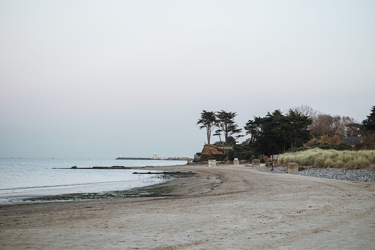 Hundestrand Burrow Beach, in Howth Dublin Irland