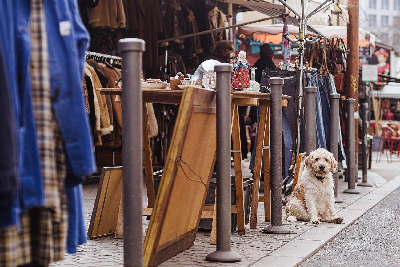 Ausflug mit Hund - Flohmarkt in Paris Puces de Saint-Ouen