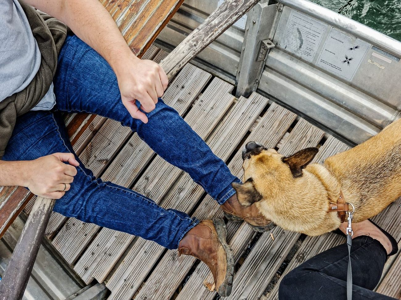 Ausflugsziel mit Hund - Seepromenade in Radolfzell