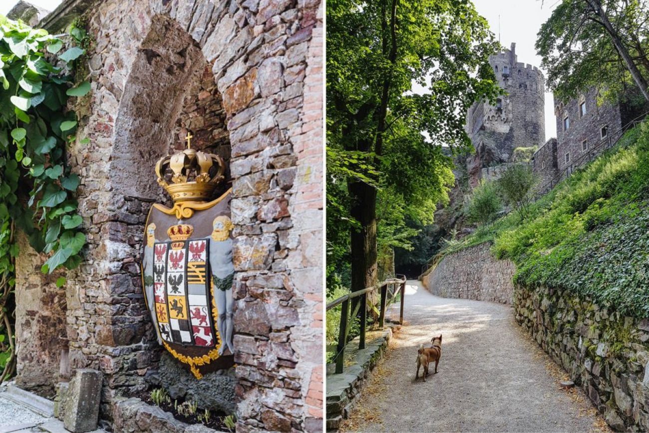 Mit dem Hund am Rhein - Burg Rheinstein
