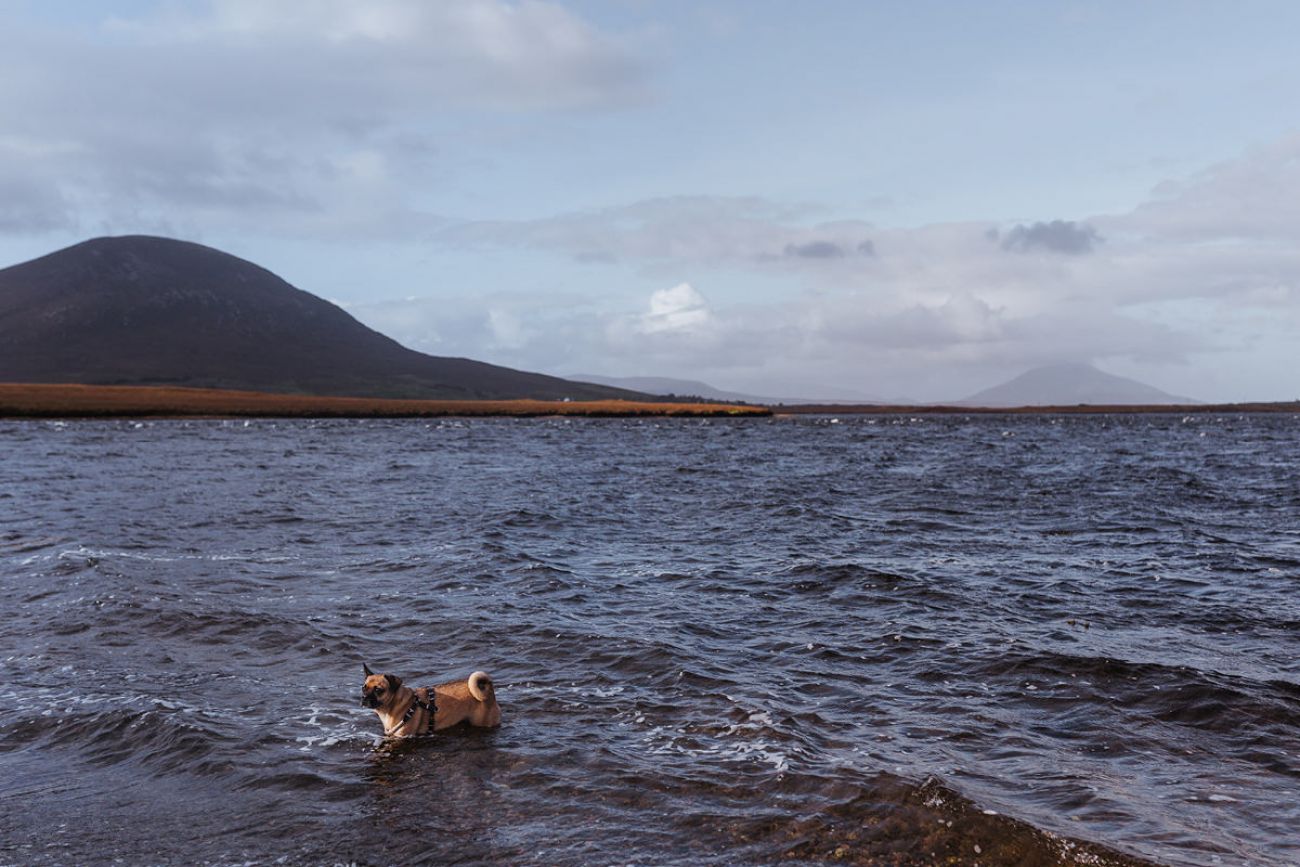 Mit Hund im Ballycroy Nationalpark in Mayo, Irland
