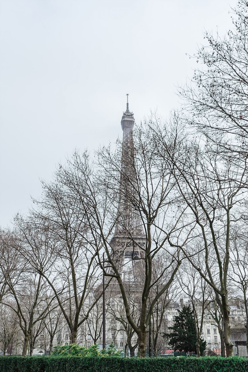 Paris mit Hund: Spaziergang am Eifelturm