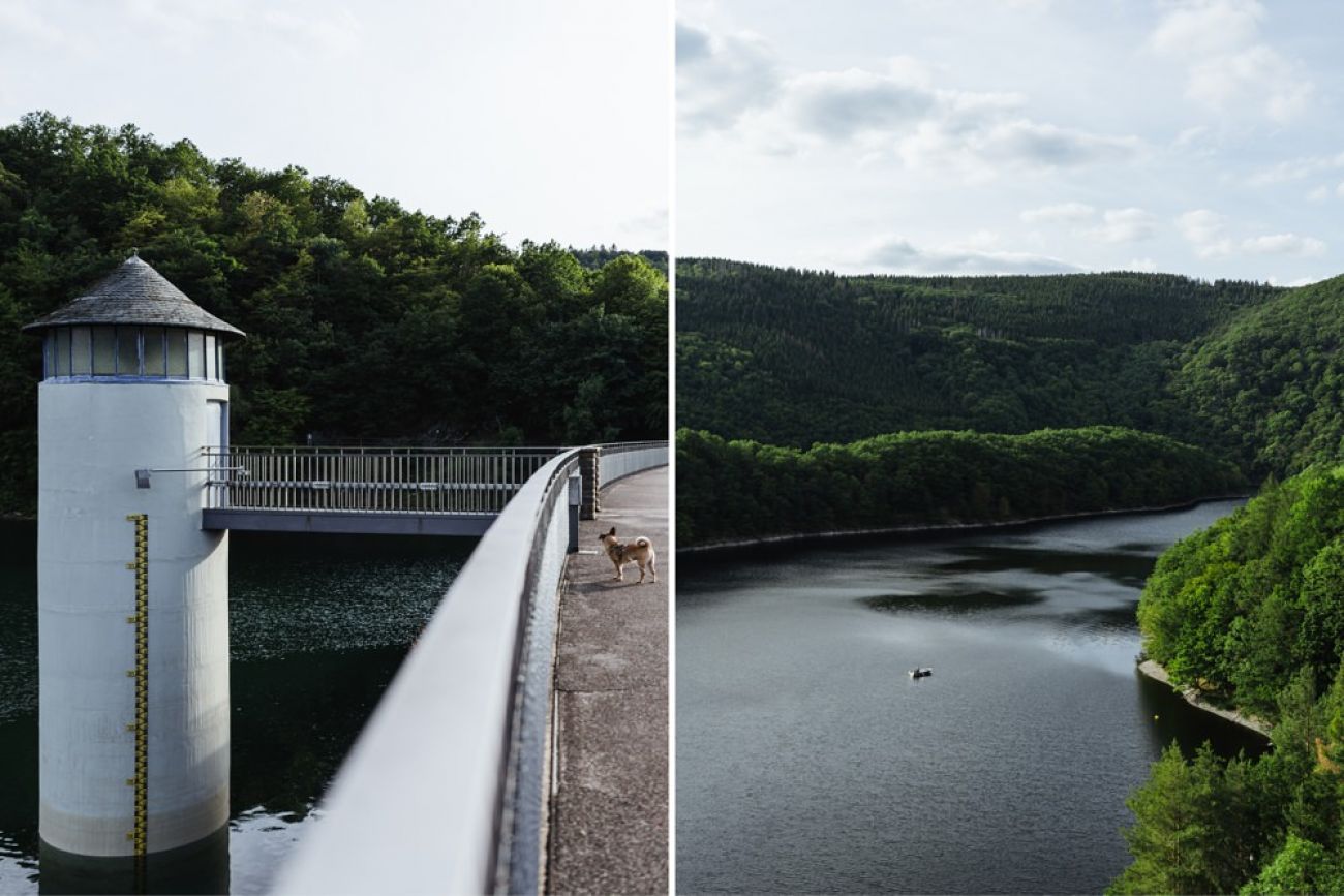 Urftalsperre mit Hund - Urlaub in Deutschland