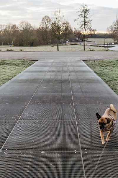 GASSI GEHEN IN FRANKFURT - MIT HUND AM FLUGPLATZ BONAMES